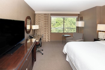 Room, 1 King Bed (Mobility/Hearing Access, Roll-In Shwr)