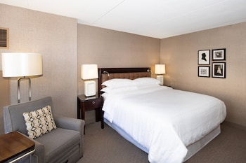 Room, 1 Queen Bed