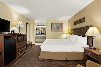 Standard Room, 1 King Bed, Accessible, Refrigerator & Microwave