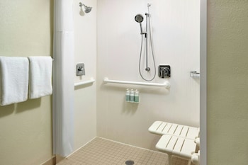 Room, 1 King Bed with Sofa bed (Mobility/Hearing Access, Roll-In Shwr)