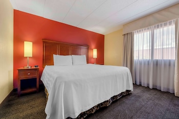 Suite, 1 King Bed, Non Smoking, Refrigerator & Microwave (with Sofabed)
