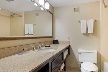 Suite, 1 King Bed, Non Smoking, Refrigerator & Microwave (with Sofabed)