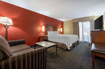 Standard Room, 1 King Bed, Non Smoking, Refrigerator & Microwave (with Sofabed)
