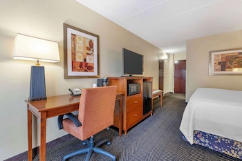 Standard Room, 1 King Bed, Accessible, Refrigerator & Microwave