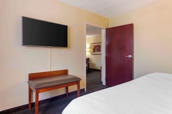 Suite, 1 King Bed, Non Smoking, Refrigerator & Microwave (with Sofabed)
