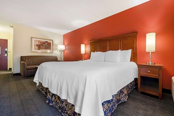 Standard Room, 1 King Bed, Non Smoking, Refrigerator & Microwave (with Sofabed)