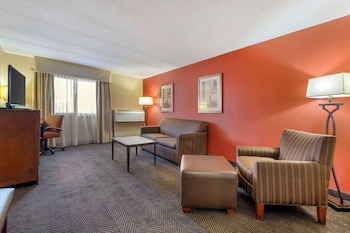Suite, 1 King Bed, Non Smoking, Refrigerator & Microwave (with Sofabed)