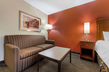 Standard Room, 1 King Bed, Non Smoking, Refrigerator & Microwave (with Sofabed)