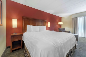 Standard Room, 1 King Bed, Accessible, Refrigerator & Microwave
