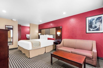Standard Room, 1 King Bed, Non Smoking (with Single Sofabed)