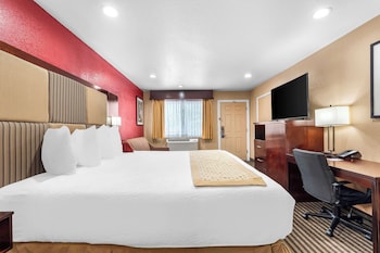 Standard Room, 1 King Bed, Non Smoking (with Single Sofabed)