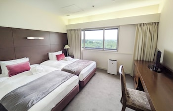 No cleaning service Deluxe Suite(Non-Smoking)