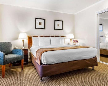 Standard Room, 1 King Bed, Accessible