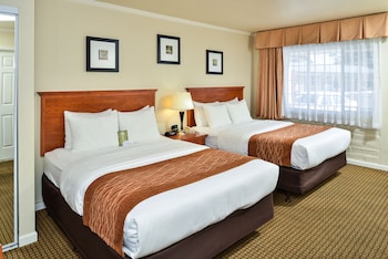 Standard Double Room, 2 Double Beds