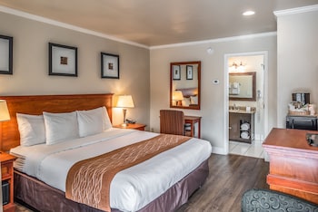 Standard Room, 1 King Bed