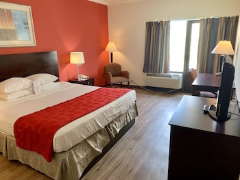 Room, 1 King Bed, Non Smoking