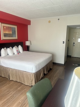 Room, 1 King Bed, Non Smoking