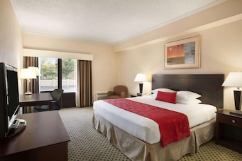 Room, 1 King Bed, Non Smoking