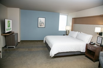 Suite, 1 King Bed