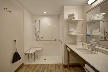 Studio, 1 King Bed, Accessible (Roll-In Shower)