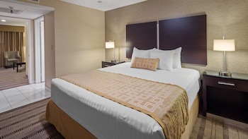 Standard Room, 1 King Bed, Non Smoking, Refrigerator