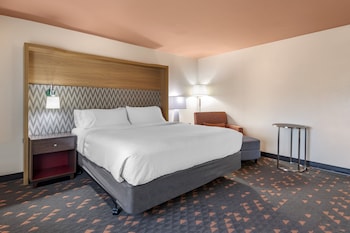 Standard Room, 1 King Bed, Roll-in Shower (Communications Accessible)