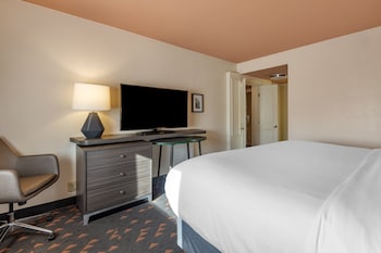 Suite, 1 Bedroom