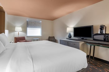 Standard Room, 1 King Bed
