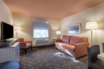 Suite, 1 Bedroom