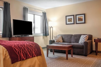 Standard Room, 1 King Bed, Non Smoking