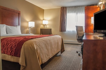 Standard Room, 1 King Bed, Non Smoking