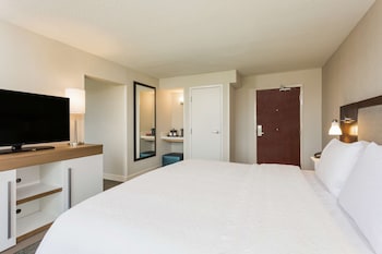 Suite (Roll-In Shower)