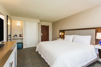 Suite (Roll-In Shower)
