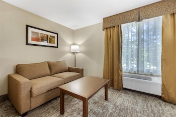 Suite, 1 King Bed, Non Smoking, Jetted Tub (with Sofabed)