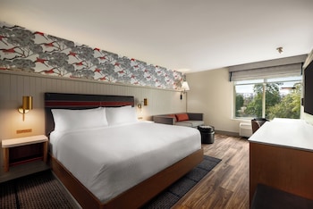 Standard Room, 1 King Bed with Sofa bed