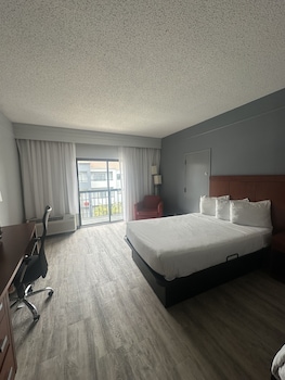 Room, 1 King Bed, Accessible, Non Smoking (Mobility, Tub w/ Grab Bars)