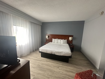 Room, 1 King Bed, Accessible, Non Smoking (Mobility, Tub w/ Grab Bars)