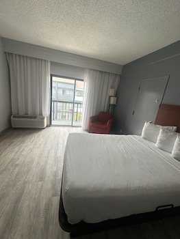Room, 1 King Bed, Accessible, Non Smoking (Mobility, Tub w/ Grab Bars)