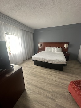 Deluxe Room, 1 King Bed, Non Smoking