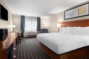 Room, 1 King Bed, Non Smoking