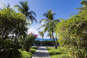 Room, Terrace (Ocean)
