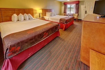 Standard Room, 2 Queen Beds, Non Smoking, Refrigerator & Microwave (Pet Friendly)