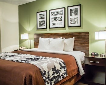 Standard Room, 1 Queen Bed, Non Smoking