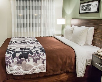 Standard Room, 1 Queen Bed, Non Smoking