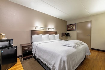 Premium Room, 1 King Bed, Accessible (Upgraded Bedding/Snack/Roll-In Shower)