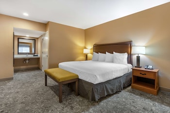 Suite, 1 King Bed, Accessible, Refrigerator & Microwave (Walk-in Shower)
