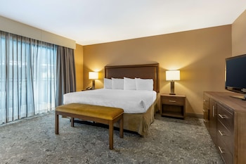 Suite, 1 King Bed, Non Smoking