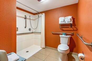Standard Room, 1 King Bed, Accessible, Refrigerator & Microwave (Walk-in Shower;Pet Friendly)