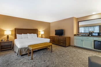 Suite, 1 King Bed, Non Smoking