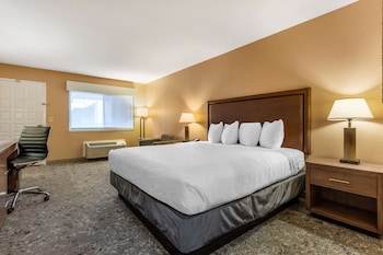Suite, 1 King Bed, Non Smoking